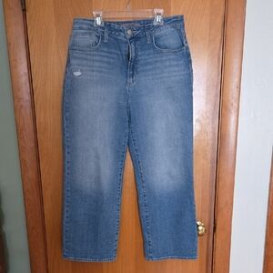 Like New Joe's Jeans Juliet Wide Leg Cropped Size 29